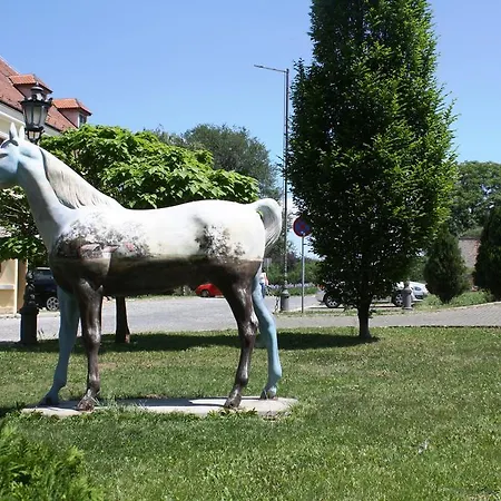 酒店 利奥波德一世加尼酒店 诺威萨
