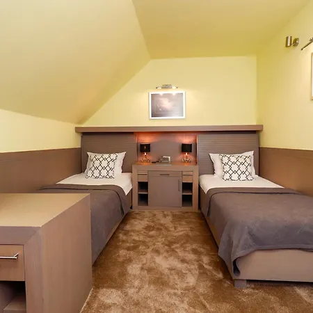 酒店 利奥波德一世加尼酒店 4*