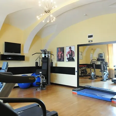 利奥波德一世加尼酒店 酒店 4*