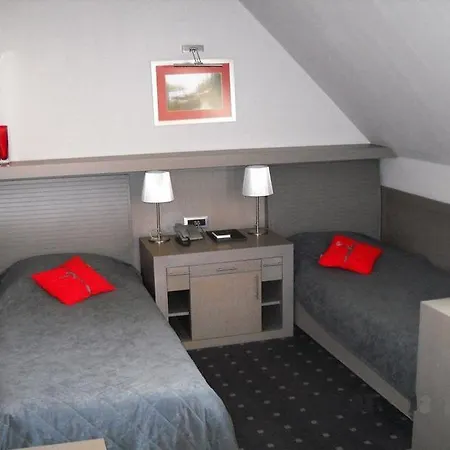 利奥波德一世加尼酒店 酒店 4*